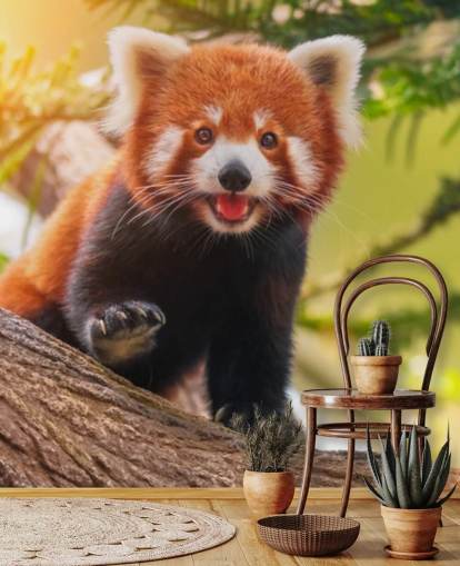 benutzerdefinierte rote Panda-Tapete namens Playful Red Panda für Häuser und Büros