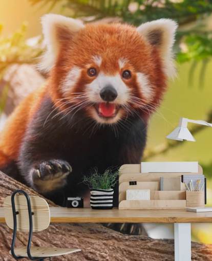 papel pintado personalizado de panda rojo llamado Playful Red Panda para hogares y oficinas