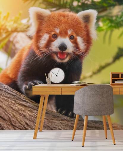 custom red panda wallpaper called Playful Red Panda for homes and offices