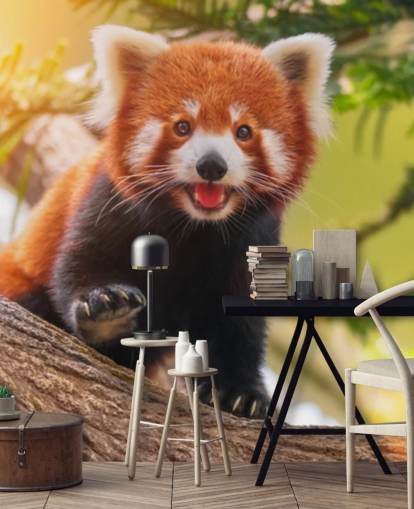 custom red panda wallpaper called Playful Red Panda for homes and offices