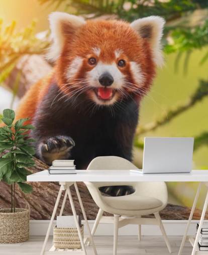 papel pintado personalizado de panda rojo llamado Playful Red Panda para hogares y oficinas