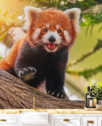 papel pintado personalizado de panda rojo llamado Playful Red Panda para hogares y oficinas