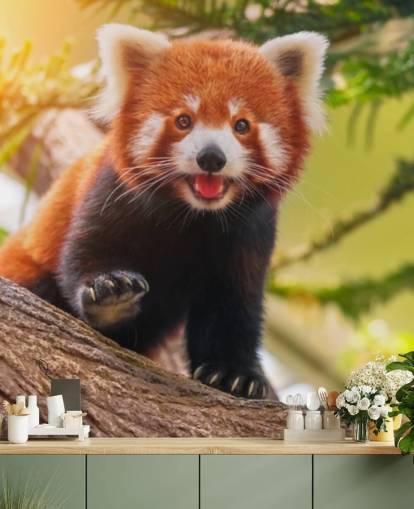 custom red panda wallpaper called Playful Red Panda for homes and offices
