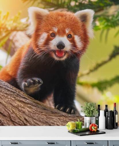 papel de parede de panda vermelho personalizado chamado Playful Red Panda para residências e escritórios