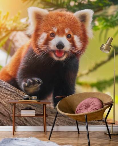 custom red panda wallpaper called Playful Red Panda for homes and offices