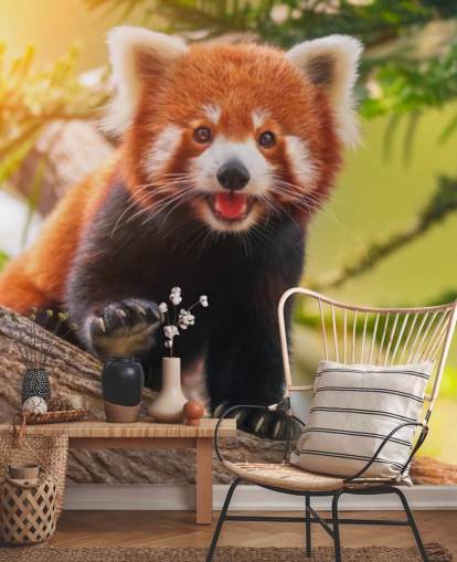 custom red panda wallpaper called Playful Red Panda for homes and offices