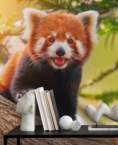 papel pintado personalizado de panda rojo llamado Playful Red Panda para hogares y oficinas