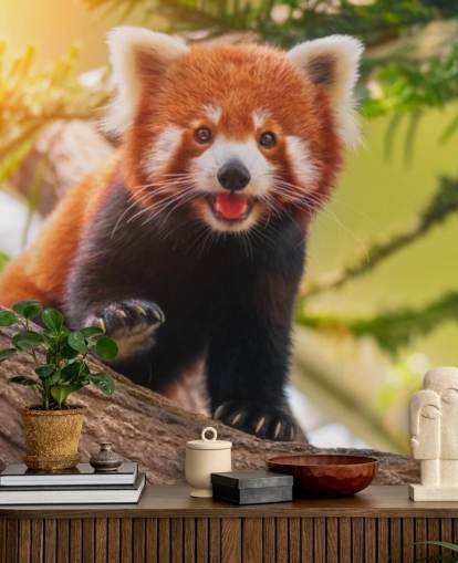 custom red panda wallpaper called Playful Red Panda for homes and offices