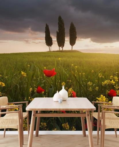 carta da parati campo toscano papaveri rossi