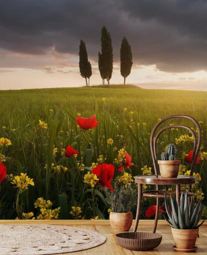 Fondo de pantalla de campo toscano con amapolas rojas Fondo de pantalla de campo toscano con amapolas rojas