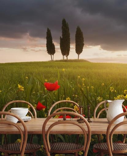tuscan field with red poppies wallpaper tuscan field with red poppies wallpaper