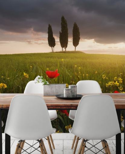 tuscan field with red poppies wallpaper