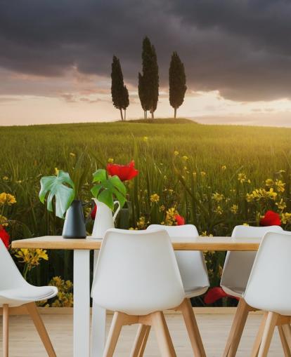 toskanisches Feld mit roten Mohnblumen Tapete