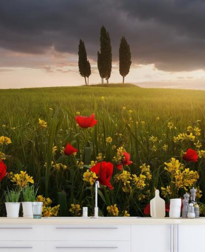 fond d'écran champ toscan avec des coquelicots rouges