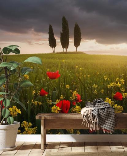 fond d'écran champ toscan avec des coquelicots rouges