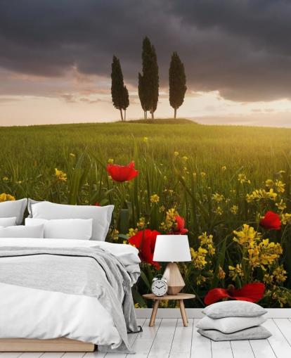 tuscan field with red poppies wallpaper tuscan field with red poppies wallpaper