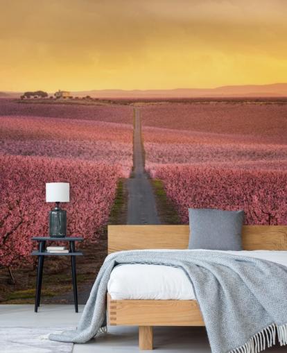 long road with pink blossom trees wallpaper