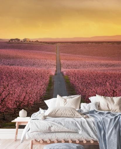 long road with pink blossom trees wallpaper long road with pink blossom trees wallpaper