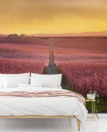 fondo de pantalla de largo camino con árboles en flor rosa fondo de pantalla de largo camino con árboles en flor rosa