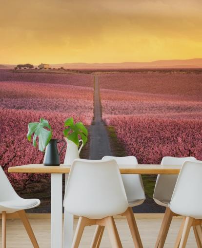 long road with pink blossom trees wallpaper