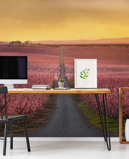 long road with pink blossom trees wallpaper