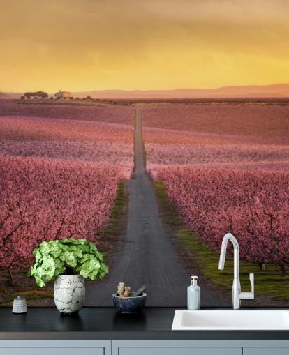 fond d'écran longue route avec des arbres de fleurs roses fond d'écran longue route avec des arbres de fleurs roses