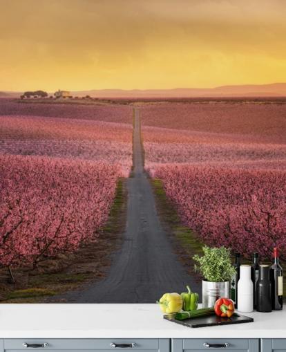 langer Weg mit rosa Blüten Bäume Tapete