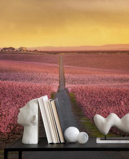 long road with pink blossom trees wallpaper