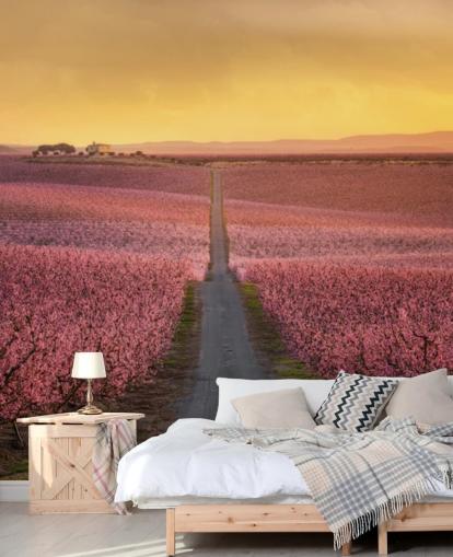 long road with pink blossom trees wallpaper