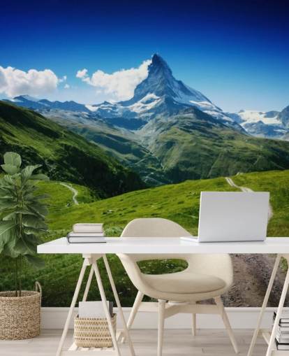 pic enneigé de la montagne au-dessus du fond d'écran luxuriant champ vert