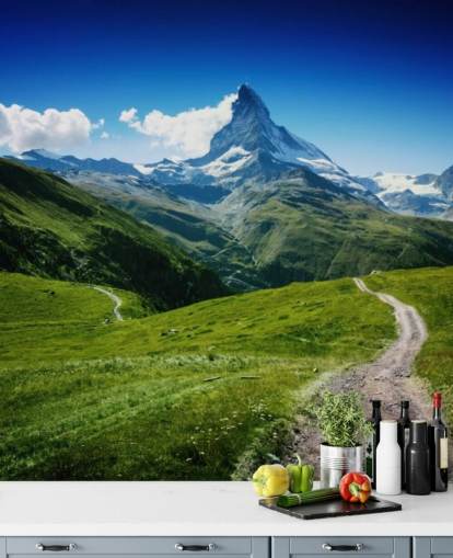 schneebedeckter Gipfel des Berges über üppig grünen Feld Tapete schneebedeckter Gipfel des Berges über üppig grünen Feld Tapete