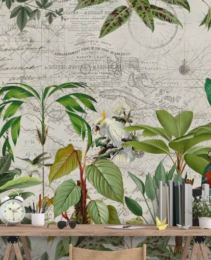 vintage style illustration of colourful birds in jungle wallpaper