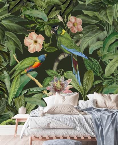 fondo de pantalla de selva tropical y pájaros