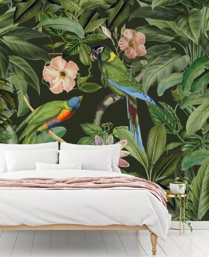 fondo de pantalla de selva tropical y pájaros