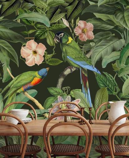 fondo de pantalla de selva tropical y pájaros