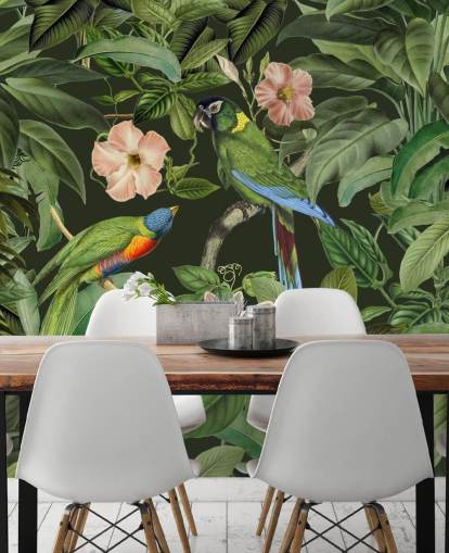 fondo de pantalla de selva tropical y pájaros