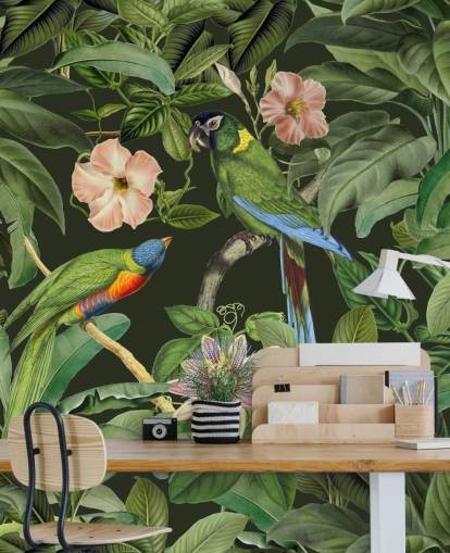 fondo de pantalla de selva tropical y pájaros