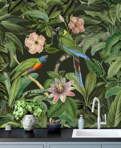 fondo de pantalla de selva tropical y pájaros