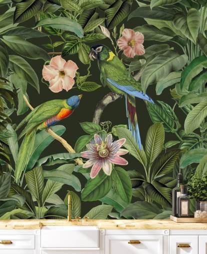 fondo de pantalla de selva tropical y pájaros