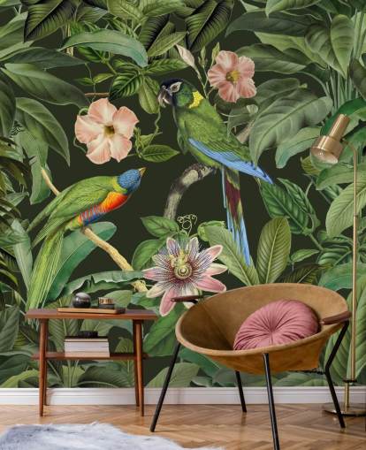 fondo de pantalla de selva tropical y pájaros