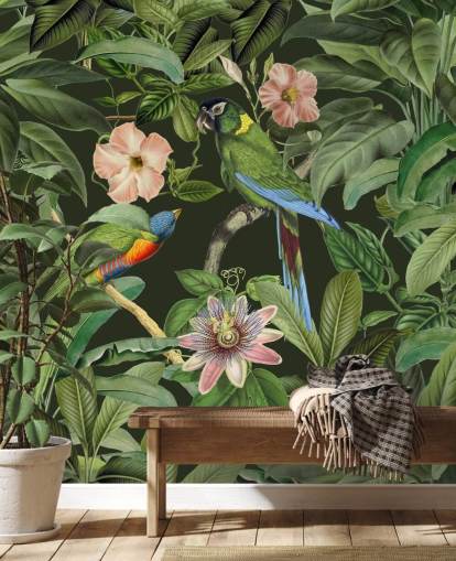 fondo de pantalla de selva tropical y pájaros