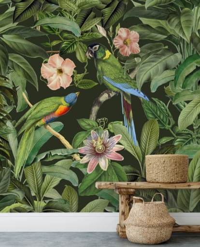 tropical jungle and birds wallpaper