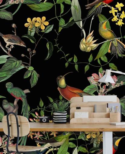 carta da parati colibrì giungla tropicale 