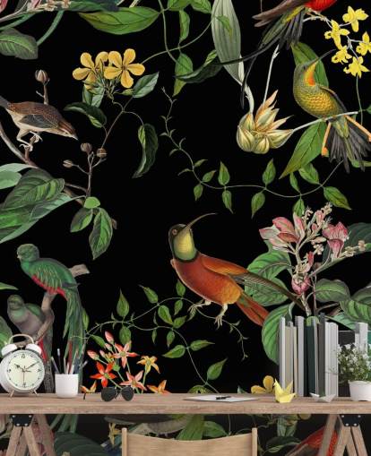 papel de parede de beija-flor da selva tropical 