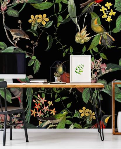 fondo de pantalla de colibrí selva tropical 