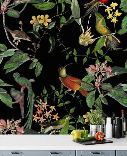 carta da parati colibrì giungla tropicale 