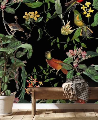 fondo de pantalla de colibrí selva tropical 