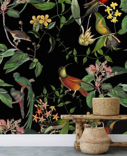 fondo de pantalla de colibrí selva tropical 