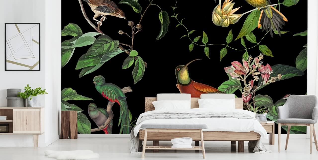 papier peint colibri jungle tropicale 