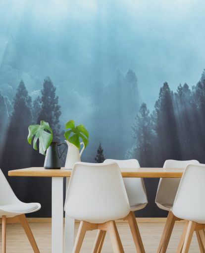 misty forest with rays of sunlight pouring down wallpaper misty forest with rays of sunlight pouring down wallpaper